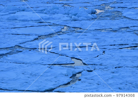 流冰巡航，網走，北海道 97914308