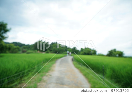 Chihaya Akasaka Village, Osaka Prefecture, landscape of rice fields, terraced rice fields in Shimo Akasaka Chihaya Akasaka Village, Osaka Prefecture, landscape of rice fields, terraced rice fields in Shimo Akasaka 97915793
