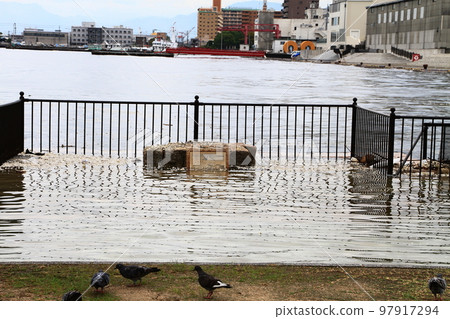 spring tide 97917294