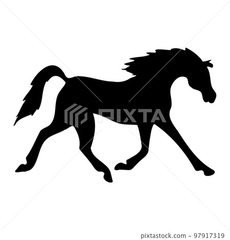 Vector hand drawn Arabian horse silhouette Vector hand drawn Arabian horse silhouette 97917319