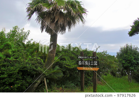 南九州番將鼻自然公園 南九州番將鼻自然公園 97917626
