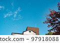 Autumn leaves and flapping birds 97918088