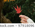have beautiful autumn leaves 97918096