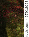 autumn leaves 97918098