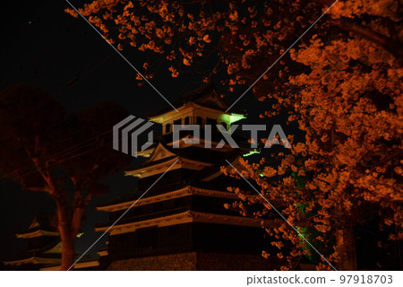 Nakatsu City Nakatsu Castle Night Nakatsu City Nakatsu Castle Night 97918703