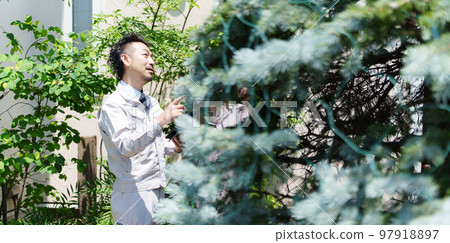 A housewife who consults about planting A housewife who consults about planting 97918897