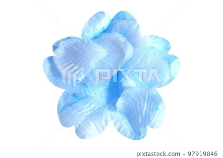 簡單花(淺藍) 簡單花(淺藍) 97919846