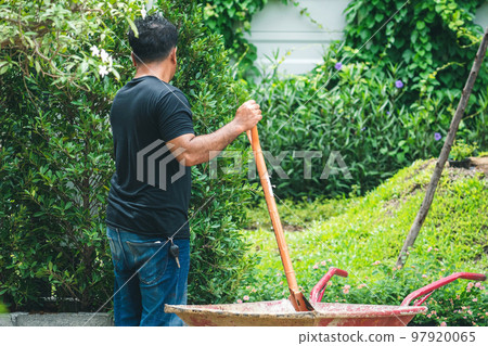 Asian professional gardener use shovels to prepare soil on wheelbarrows for planting ornamental plants in garden. Farmer with shovel in his hands. Outdoor work concept. Planting and decorate the park. 97920065