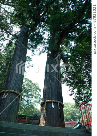 別府市八幡麻美神社・溫泉神社 97921021