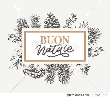 Christmas,Buon Natale greeting card.Handwriting lettering in italian.Holiday lettering.New year template.Vintage vector,typography design. Christmas,Buon Natale greeting card.Handwriting lettering in italian.Holiday lettering.New year template.Vintage vector,typography design. 97921126
