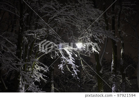 Lantern in the snowy park at night. Lantern in the snowy park at night. 97921594