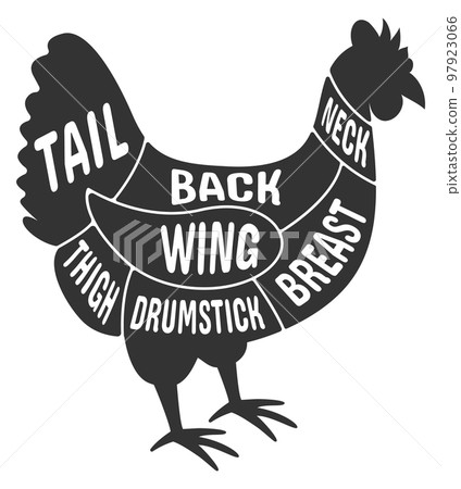 Farm bird cut diagram. Chicken poultry butcher scheme Farm bird cut diagram. Chicken poultry butcher scheme 97923066
