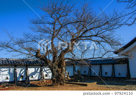 Shirakawa City Komine Castle Ruins Park Otome Sakura no Densetsu Shirakawa City Komine Castle Ruins Park Otome Sakura no Densetsu 97924110