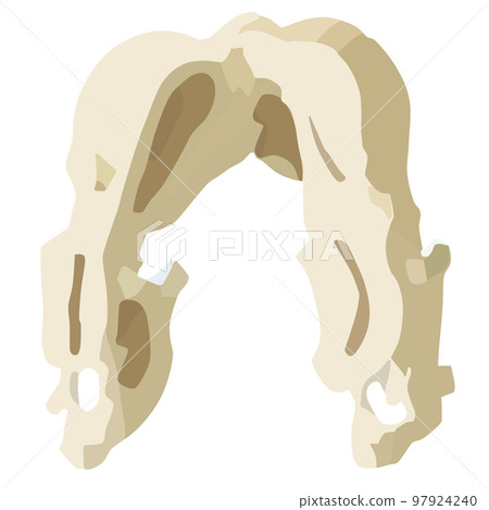 神秘的骨頭化石 神秘的骨頭化石 97924240