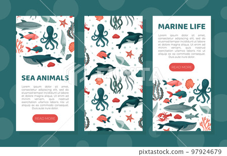 Sea animals wen banner templates set. Marine life, underwater sealife mobile app, website interface with sea creatures seamless pattern cartoon vector 97924679