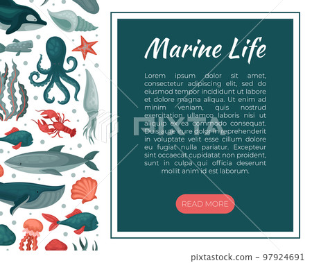 Marine life web banner. Underwater world, sea life landing page, brochure template with space for text cartoon vector Marine life web banner. Underwater world, sea life landing page, brochure template with space for text cartoon vector 97924691