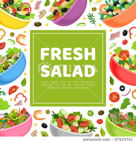 Fresh salad banner template. Fresh organic healthy natural vegetarian product card, poster, packaging design cartoon vector Fresh salad banner template. Fresh organic healthy natural vegetarian product card, poster, packaging design cartoon vector 97924742