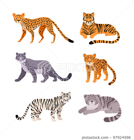 Set of different wild cats. Cheetah, cerval, leopard, lynx, bobcat, jaguar, manul cartoon vector illustration 97924996