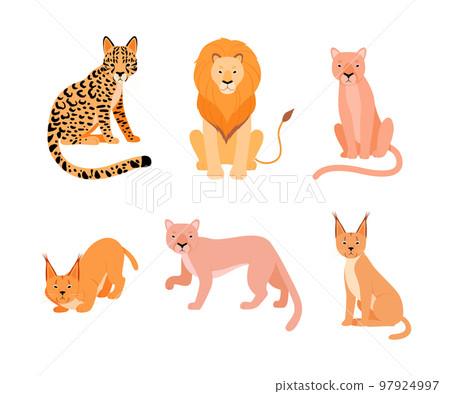 Set of different wild cats. Caracal, lion, cougar, puma, ocelot cartoon vector illustration Set of different wild cats. Caracal, lion, cougar, puma, ocelot cartoon vector illustration 97924997