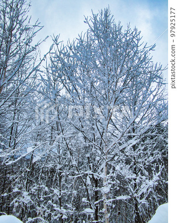 冬季景觀 97925177