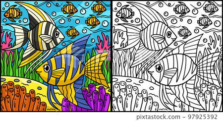 Angelfish Coloring Page Colored Illustration Angelfish Coloring Page Colored Illustration 97925392