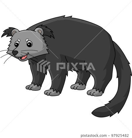 Binturong Animal Cartoon Colored Clipart Binturong Animal Cartoon Colored Clipart 97925482