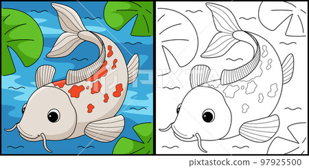 Koi Animal Coloring Page Colored Illustration Koi Animal Coloring Page Colored Illustration 97925500