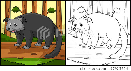 Binturong Animal Coloring Page Illustration Binturong Animal Coloring Page Illustration 97925504