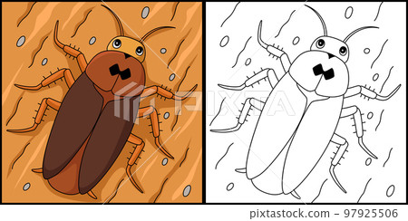 Cockroach Animal Coloring Page Illustration 97925506