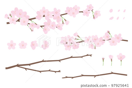 Illustration material set of cherry blossoms and branches Illustration material set of cherry blossoms and branches 97925641