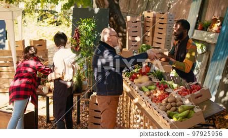 Elderly man buying various fresh eco fruits and veggies at farmers market during fall time. Positive african american farmer small business owner selling his homegrown bio products. Elderly man buying various fresh eco fruits and veggies at farmers market during fall time. Positive african american farmer small business owner selling his homegrown bio products. 97925956