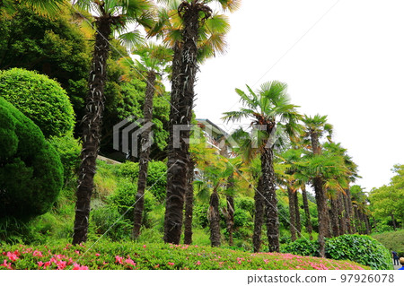 Oedo, Botania, Geoje Island, Island, Park, Garden, Beautiful, Landscape, Island, Oedo, Botania, Geoje Island, Island, Park, Garden, Beautiful, Landscape, Island, 97926078