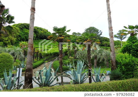 Oedo, Botania, Geoje Island, Island, Park, Garden, Beautiful, Landscape, Island, Oedo, Botania, Geoje Island, Island, Park, Garden, Beautiful, Landscape, Island, 97926082