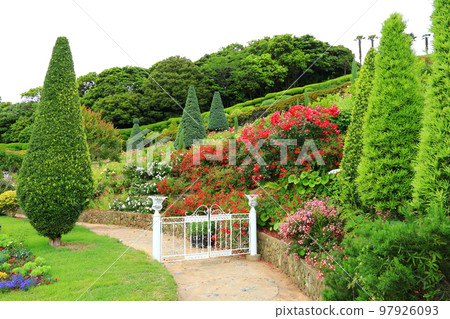 Oedo, Botania, Geoje Island, Island, Park, Garden, Beautiful, Landscape, Island, 97926093