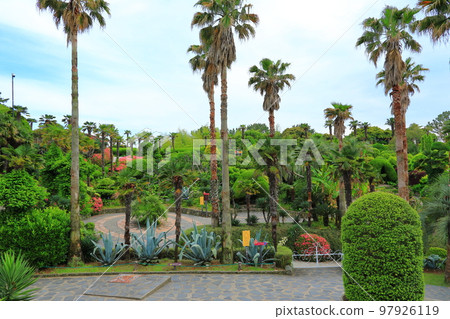 Oedo, Botania, Geoje Island, Island, Park, Garden, Beautiful, Landscape, Island, Oedo, Botania, Geoje Island, Island, Park, Garden, Beautiful, Landscape, Island, 97926119