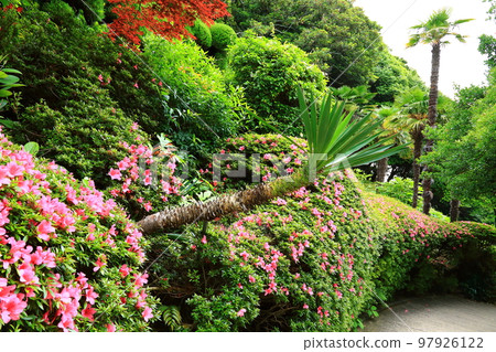 Oedo, Botania, Geoje Island, Island, Park, Garden, Beautiful, Landscape, Island, Oedo, Botania, Geoje Island, Island, Park, Garden, Beautiful, Landscape, Island, 97926122