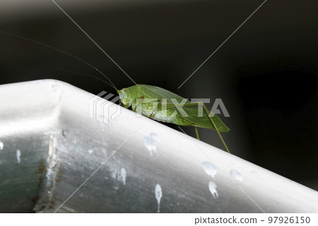 Powered by Discuz！ 97926150