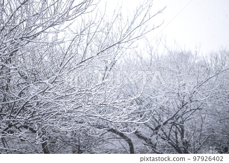 雪林雪山雪景圖片 雪林雪山雪景圖片 97926402