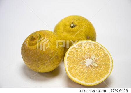 Citrus Haruka mandarin orange Citrus Haruka mandarin orange 97926439