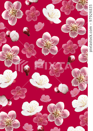 Plum blossom background material, red plum and white plum Plum blossom background material, red plum and white plum 97926835