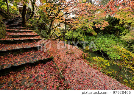 Autumn leaves of Tsurusen River Autumn leaves of Tsurusen River 97928466