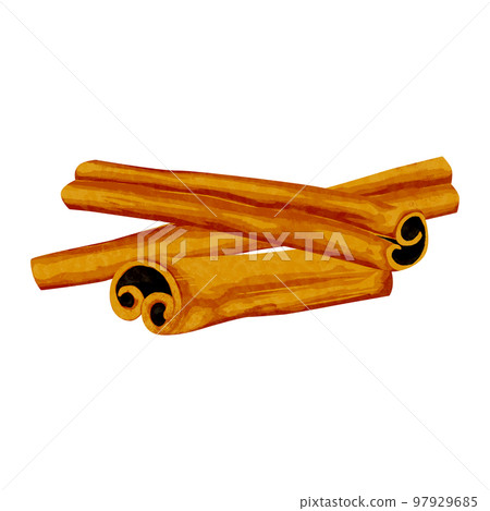 中草藥“肉桂”手繪水彩風插畫 97929685