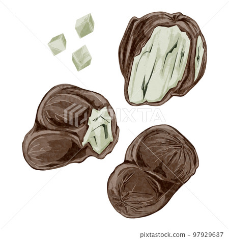 Chinese herbal medicine "Bukuryo" hand-painted watercolor style illustration 97929687