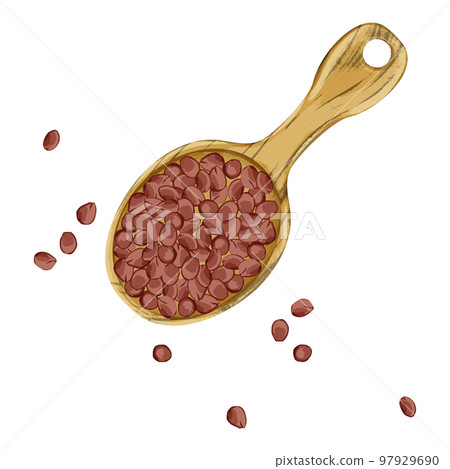 Chinese herbal medicine "Soujin" on a spoon hand-painted watercolor style illustration Chinese herbal medicine "Soujin" on a spoon hand-painted watercolor style illustration 97929690