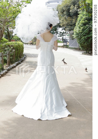 Rear view of bride in elegant wedding dress Rear view of bride in elegant wedding dress 97930208