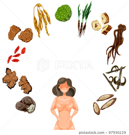 Hand-painted watercolor illustration of herbal medicine useful for women's troubles 97930229