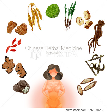 對女性煩惱有用的草藥手繪水彩插畫 97930230
