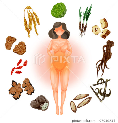對女性煩惱有用的草藥手繪水彩插畫 97930231