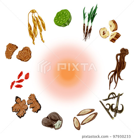 對女性煩惱有用的草藥手繪水彩插畫 97930233