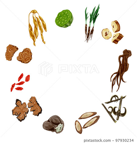 Hand-painted watercolor illustration of herbal medicine useful for women's troubles 97930234